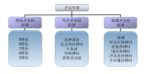 간호부 조직도